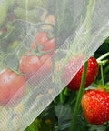 10x20 Garden Netting Bird Proof Insect Mesh For Vegetables Fruits And Plants Waterproof Sunproof Durable Pest Barrier on tomatoes and strawberries.