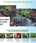 Sunflower Garden Kit for Kids and Families Grow Your Own Sunflowers From Seeds With Greenhouse Domes And Grow Rings Non GMO Seeds BPA Free Kid Friendly Garden Gift Made In USA illustration showing use of grow rings and planting benefits.
