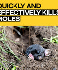 Poison Moleworms Kit For Outdoors With 10 Realistic Moleworms And 5 Tunnel Locator Flags showing effectiveness in killing moles