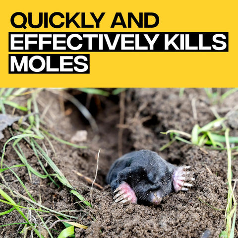 Poison Moleworms Kit For Outdoors With 10 Realistic Moleworms And 5 Tunnel Locator Flags showing effectiveness in killing moles