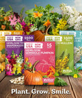 Variety of Kviter heirloom seed packets including pumpkin, snapdragon, and lilac, displayed with pumpkins and flowers