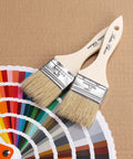 9 Pack 2 Inch Chip Paint Brushes With Thick Natural Bristles next to color swatch on cardboard
