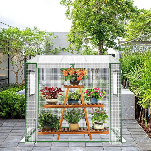 Portable Mini Greenhouse For Indoor And Outdoor Use With Thick PE Cover And Clear Panels showing potted plants inside
