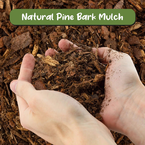 Hands holding All Natural Pine Bark Mulch Nuggets For Indoor And Outdoor Pots And Planters Terrariums 30 Quarts Small Chips