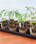 Seedling Starter Tray Set Durable Reusable Plastic Germination Trays With Watertight No Holes Base 21 By 10.75 Inches And 2 Inch Depth