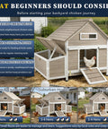 Outdoor Chicken Coop For 2 To 4 Chickens In The Backyard Weatherproof Wooden Hen House With Raised Floor Easy Clean Removable Tray