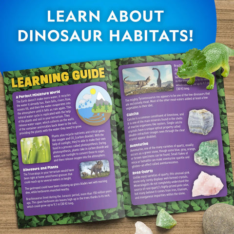 Light Up Dino Terrarium Science Kit For Kids With Multicolor LED Light And Eight Settings, Build A Colorful Mini Dino World, Decorate With Figurines, Rocks, And Stickers, Plant Seeds, Watch It Grow And Glow learning guide
