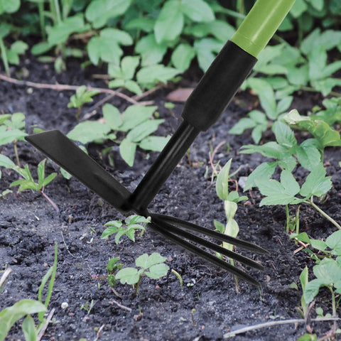 Telescoping Cultivator With Three Prong Culti Hoe Dual Design 2 In 1 Garden Tool For Soil Aeration And Weeding in use
