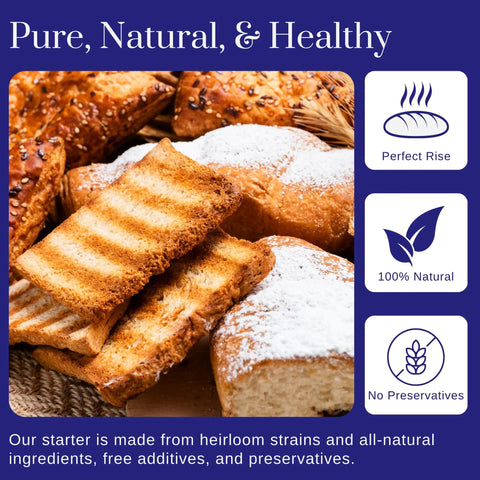 San Francisco Sourdough Starter Culture Kit For Bread Pizza Pancakes And More, 100 Plus Year Old Dehydrated Heirloom Style Starter with baked goods