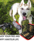 RC Car Tool Kit Sixteen Piece Repair Screwdriver Set, hex bits, nut driver in case, with dog and remote-controlled car on grass.