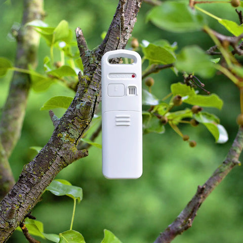 Wireless sensor for Digital Thermometer With Indoor And Outdoor Temperature Readout hanging on tree branch.