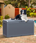 Dog sitting on Huge 100 Gallon Outdoor Resin Deck Box With Lockable Lid For Patio Furniture Cushions Garden Tools And Pool Supplies Waterproof Weatherproof Storage With Large Capacity Dark Grey next to pool