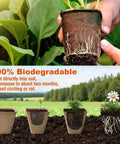 Hands holding 40 Pcs 3.15 Inch Biodegradable Peat Pots For Seedlings And Seed Starters With Drainage Holes Organic Round Plant Pots.