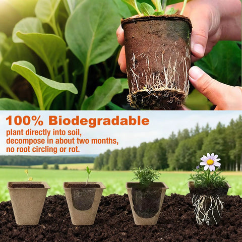 Hands holding 40 Pcs 3.15 Inch Biodegradable Peat Pots For Seedlings And Seed Starters With Drainage Holes Organic Round Plant Pots.