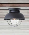 Sebring 8869-12 Outdoor Ceiling Flush Mount Light in black finish with single bulb, wet location rated for patios.