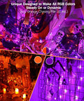Lit Color Changing RGB Christmas Lights 66 Feet 200 LED Outdoor Indoor String Lights decorating colorful skeleton setup