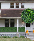 Privacy Fence Screen With Realistic Faux Boxwood Ivy Panels 60 By 140 Inches Covering 58.5 Sq Ft on a house exterior with pumpkins.