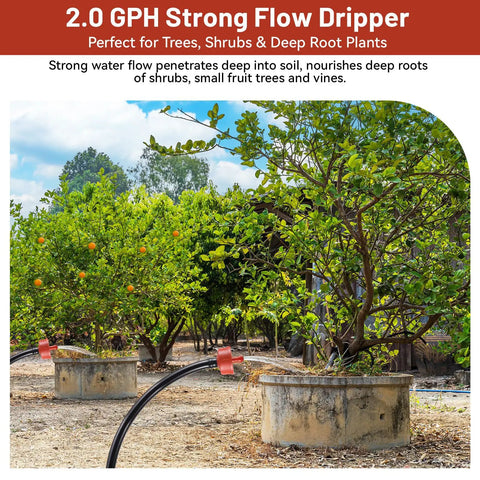 Heavy Duty 2 GPH Pressure Compensating Drip Irrigation Spot Drippers For Deep Root Watering Of Shrubs And Small Trees