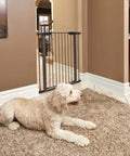 Heavy Duty Steel Dog Gate With Walk Through Door Expands 29 To 38 Inches Wide in home setting with a dog lounging nearby