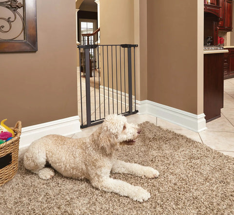 Heavy Duty Steel Dog Gate With Walk Through Door Expands 29 To 38 Inches Wide in home setting with a dog lounging nearby