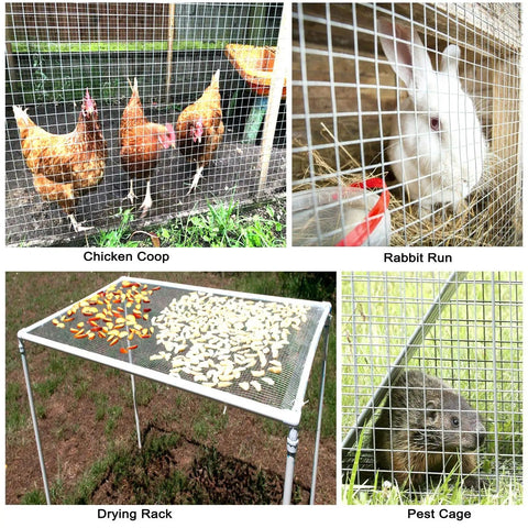 Heavy Duty Half Inch Hardware Cloth Roll 36 By 50 Feet Galvanized Welded Wire Mesh For Chicken Fencing and Rabbit Proof Fence