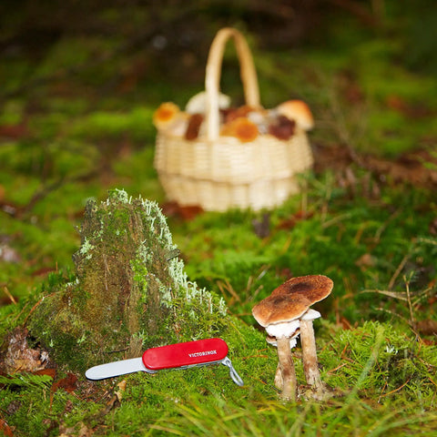 Kids Pocket Knife Toy 4.4 Inch VX Red Swiss Army Style Pretend Tool placed on mossy forest ground with mushrooms and basket