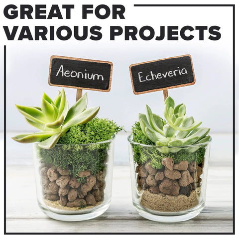 Chalkboard Paint For Walls In Black 1 Quart used on plant labels in glass pots, demonstrating creative project applications.