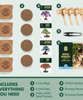Bonsai Tree Kit For Beginners Grow Your Own Mini Bonsai With Four Varieties Seed Starter Kit Includes Potting Soil Jute Bags Pruning Shears Plant Markers And Easy Step By Step Guides