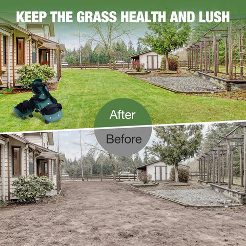 Before and after lawn with Adjustable Spiked Lawn Aerator Shoes, showcasing turf improvement and deep soil aeration.