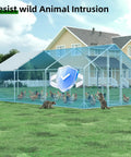 Heavy Duty Walk In Chicken Run Pen 10x20 Feet With Predator Proof Galvanized Hardware Cloth Cage with chickens and raccoons