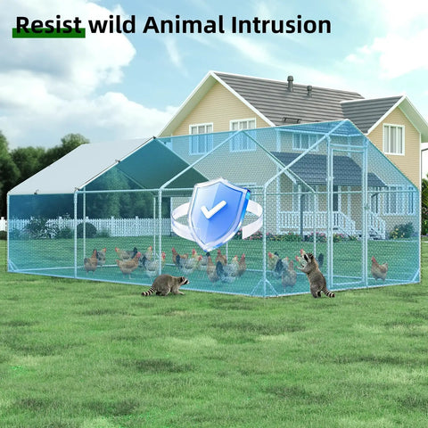 Heavy Duty Walk In Chicken Run Pen 10x20 Feet With Predator Proof Galvanized Hardware Cloth Cage with chickens and raccoons