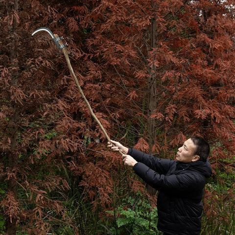 Man using All-Purpose Garden Sickle With Replaceable Wooden Handle And Heavy-Duty Manganese Steel Blade For Weeding, Mowing, And Yard Cleanup