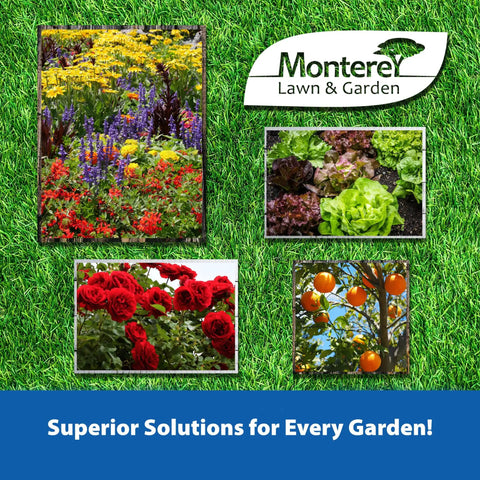 Image of Monterey Lawn & Garden brochure with vibrant flowers and vegetables, showcasing solutions for gardens.