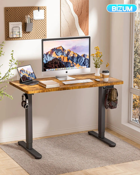 Modern setup with Electric Standing Desk With Memory Presets 48 By 24 Inches Adjustable Sit Stand Computer Desk For Home Office And Gaming.