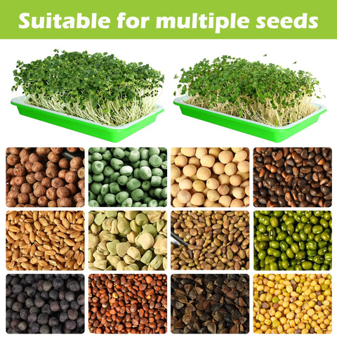 10 Pack Seed Sprouter Trays With Drain Holes BPA Free Soil Free Wheatgrass Microgreens Growing Kit With Germinating Paper Includes 40 Planting Papers For Easy Indoor Gardening