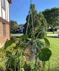Sixteen Gauge 15 Foot Zinc Plated Single Jack Chain for hanging a planter outdoors, showcasing corrosion resistance and durability.