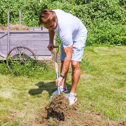 Man using Heavy Duty 43 Inch Round Shovel With Wooden D Handle And Stainless Steel Blade Built Tough For Digging Transplanting Planting Shrubs Snow Shoveling And Outdoor Yard Work on grass