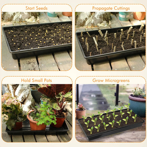 10 Pack Seed Trays Reusable Plant Grow Trays For Seed Starting Microgreens Indoor Gardening And Greenhouse Nurseries No Drain Holes Twenty By Ten Inches Stackable Value Pack