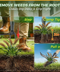 Stand Up Weed Puller Tool With Long Handle For Easy Root Removal No Kneeling, Heavy Duty 4 Claw Steel Head Weeder in use