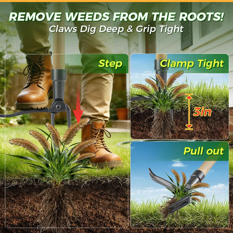 Stand Up Weed Puller Tool With Long Handle For Easy Root Removal No Kneeling, Heavy Duty 4 Claw Steel Head Weeder in use