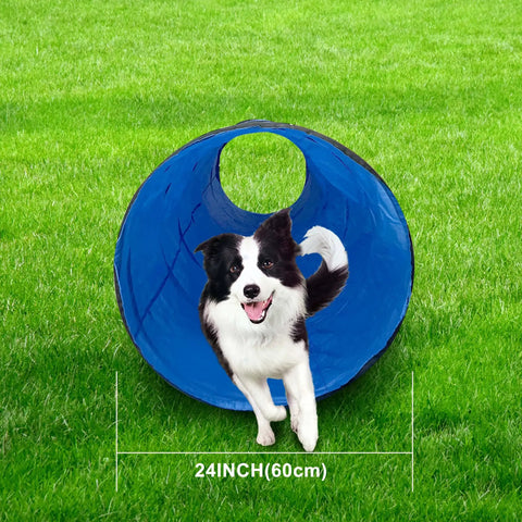 Dog running through 10 Foot Dog Agility Tunnel For All Breeds, Tear Resistant Oxford Cloth Training Tunnel For Indoor And Outdoor Use, Blue.