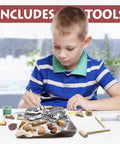 Child excavating fossils with Fossil Dig Kit For Kids, includes 15 real fossils, dinosaur bones, shark teeth, paleontology STEM fun.