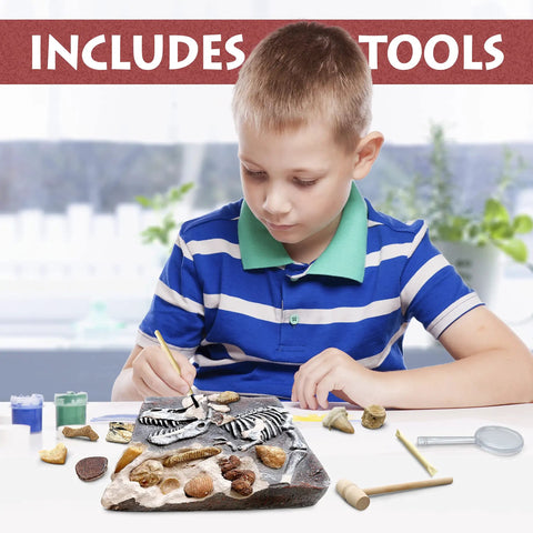Child excavating fossils with Fossil Dig Kit For Kids, includes 15 real fossils, dinosaur bones, shark teeth, paleontology STEM fun.