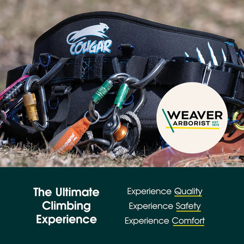 Pro Tree Saddle Harness With Memory Foam Back Support And Leg Straps For Arborist Climbing Gear