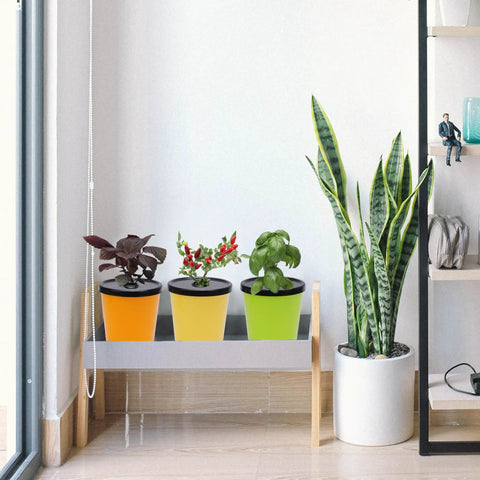 Kratky Method Hydroponic Planter Kit with eight planters and 24 growing sponges on indoor window sill, featuring vibrant pots.