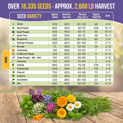 Chart of seed varieties and statistics with a herb bouquet including basil, chamomile, calendula, for 35 Medicinal And Tea Herb Seeds Variety Pack For Indoor And Outdoor Planting With 16,335+ Non GMO Heirloom Seeds Including Anise, Bergamot, Basil, Chamomile, Dandelion, Cilantro, Rosemary, Calendula And More For A Killer Green Thumb Boost.