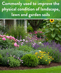 Beautiful garden bed with lush flowers and plants, illustrating the use of Organic Garden Gypsum Calcium Sulfate Granules.
