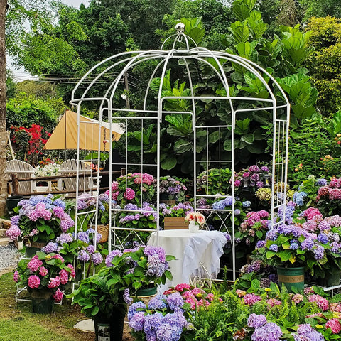 White metal birdcage garden arch arbor, 9 ft high by 6.8 ft wide, surrounded by colorful flowers in an outdoor garden setting.