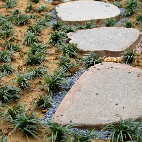 Garden path with stepping stones and surrounding greenery enhanced by 18lb Black Cactus Pea Gravel Rocks 1 Quarter Inch Pebbles for Indoor Plants and Succulents.