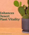 Top Shelf Indoor Potting Mix For Cactus And Succulents Featuring Sweet Roots Development With Rapid Drainage Sand Perlite And Peat Moss Formula Plus Loaded Plant Food For Ace Houseplants In 8 Quart Packs with a potted cactus.